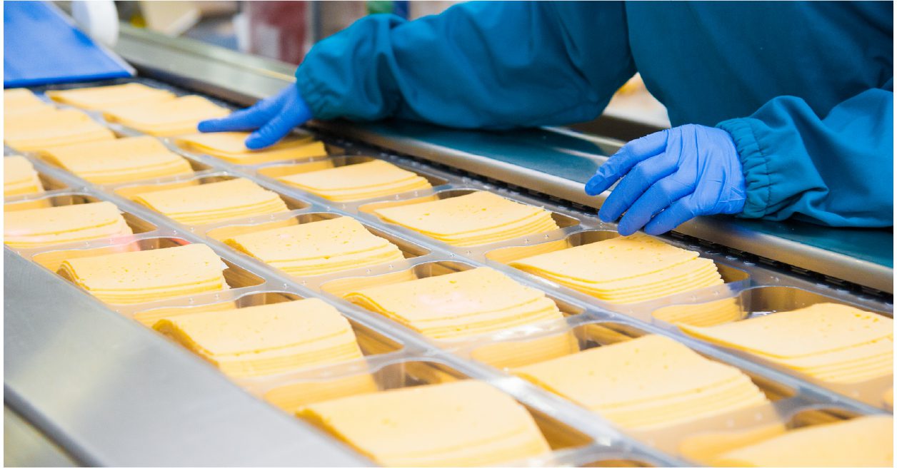 Dairy Cheese Production