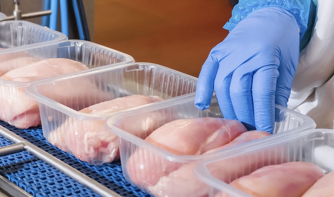 Everything You Need to Know About Industrial Poultry Processing and Packaging Knives