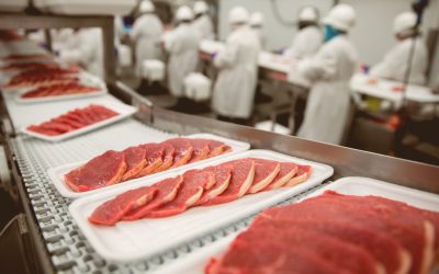 Everything You Need to Know About Industrial Meat Processing and Packaging Knives