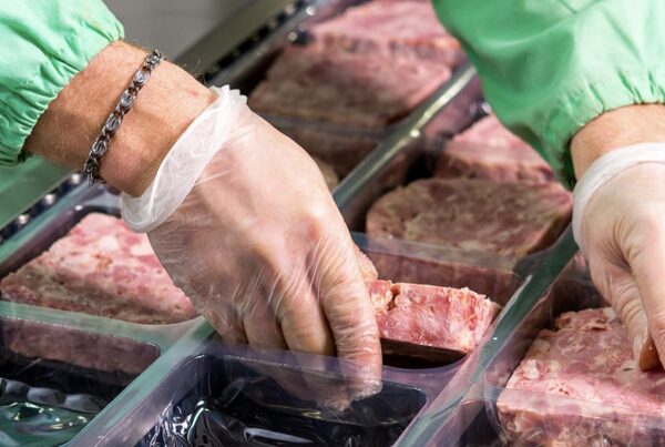 Machine Knives and Blades for the Food Processing