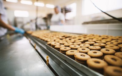 How to Select the Right Machine Knives for Your Bakery and Bread Operations