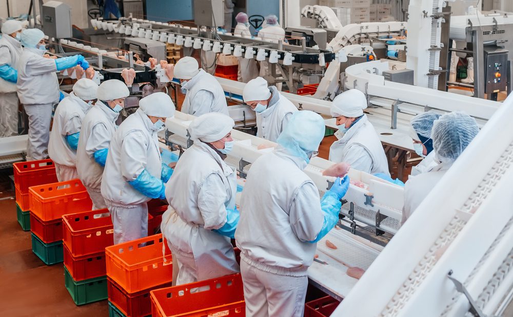 Maintain Knife Sharpness in Industrial Meat Cutting