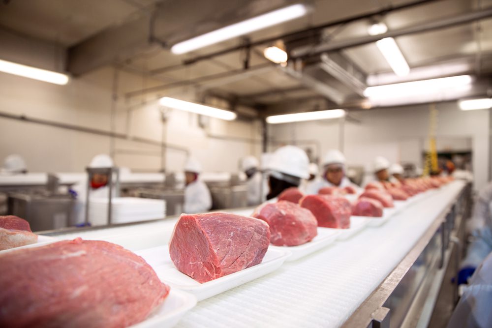 Meat,Processing,Thick,Cuts,Of,Raw,Pork,Beef,On,Conveyor,Belt,Pink