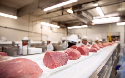 What Are the Best Industrial Blades for Meat Processing Operations?