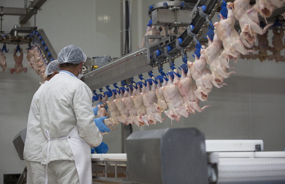 The Ultimate Guide to Poultry Processing Machine Knives in 2023