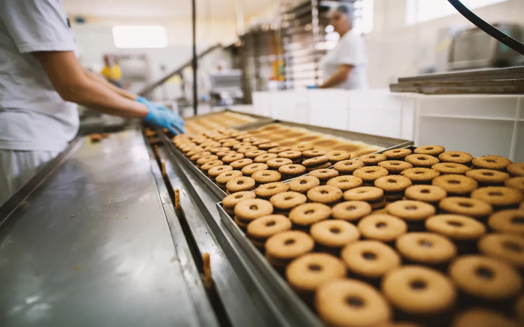 Enhancing Industrial Bakery Production with Advanced Knife Technology
