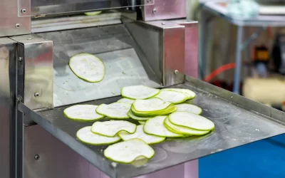 How Precision Blades Revolutionise Efficiency in Fruit Processing