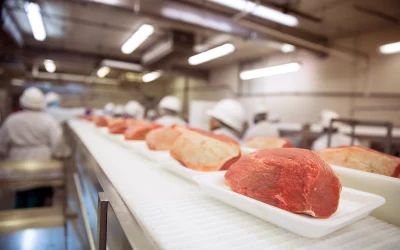 Discover Cutting-Edge Innovations in Blades That Are Transforming Meat Processing