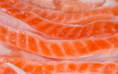 The Cutting Edge of Salmon Processing: How Advanced Slicer Blades Enhance Efficiency and Quality